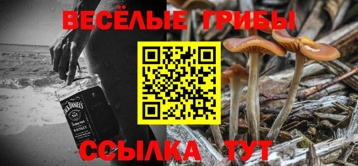 Галлюциногенные грибы ЛСД  Вход с VPN  Лосино-Петровский 